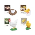 thumbnail image 1 of thinsony Figurines de Cycle de Vie Jouet Éducatif Réaliste pour Fête Poulet, 1 of 9
