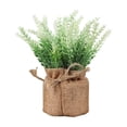 thumbnail image 2 of EGNMCR Home Decor, Room Decor, Fall Decor Artificial Plant In Pots Mini Potted Flowers Plant In Cloth For Home Decor Party Wedding Garden Table Office Patio Decoration Simulation potted plants, 2 of 6