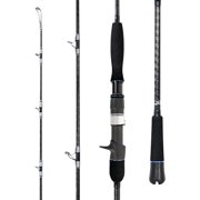 BLUEWING Casting Rods Fishing Rod 1 Piece Fishing Pole with SIC K-series Guides and Stainless Steel Frame for Inshore Fishing, Bottom Fishing, Jigging, Offshore Fishing, 7'0"