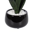 thumbnail image 3 of Plante serpent Kotera en pot ceramique, 3 of 8