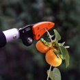 thumbnail image 3 of Jinsinto Long Handled Pruning Shears Telescopic Pruning Shears, Long Reach Tree Gardening Pruners and Scissors, Lawn Cutter with Handle, Branch Cutter, 3 of 5