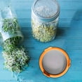 thumbnail image 5 of Strainer Set for Sprouting Lids and Microgreens Growing Kit – Stainless Steel Screen Lid for Broccoli Germination, 5 of 5