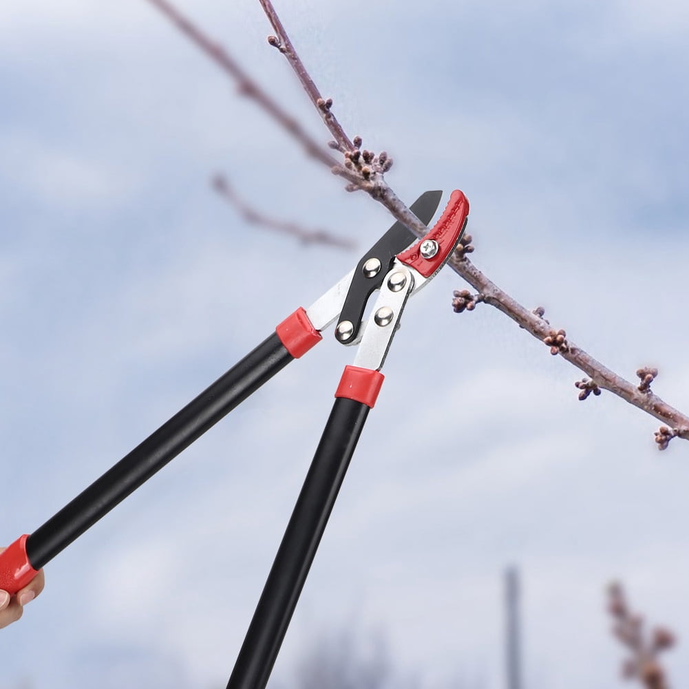 Gardening Secateurs Grafting Shears Pruning Shears, Pruning Loppers, for Park Trimming Bonsai Twigs