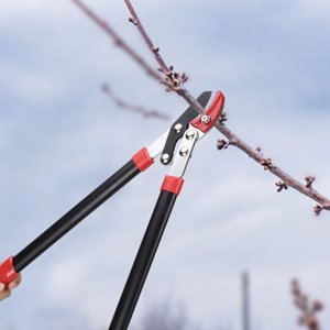 Gardening Secateurs Grafting Shears Pruning Shears, Pruning Loppers, for Park Trimming Bonsai Twigs