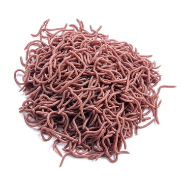 Estbridge 50pcs Red Worm Soft Lure Earthworm Shrimp Bass Fishing Bait (8cm Red Brown) Fishing Tools