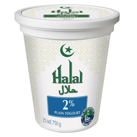 Khaas Halal Yogurt 2% Plain, Tub, 750g