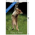 thumbnail image 3 of Famous Kitten Hang In There Poster Wall Poster, 22.375" x 34", 3 of 5