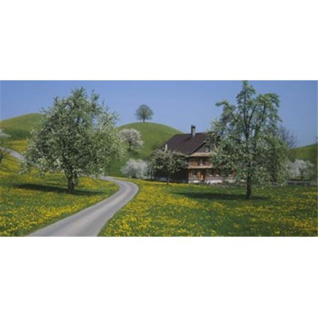 Panoramic Images PPI24731L Affiche Panoramic Images Suisse Imprimée - 36 x 12