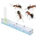 thumbnail image 4 of FLAMEEN Acrylic Ant Breeding House, Ant Breeding Box, For Ant School Household For Insect Garden, 4 of 8
