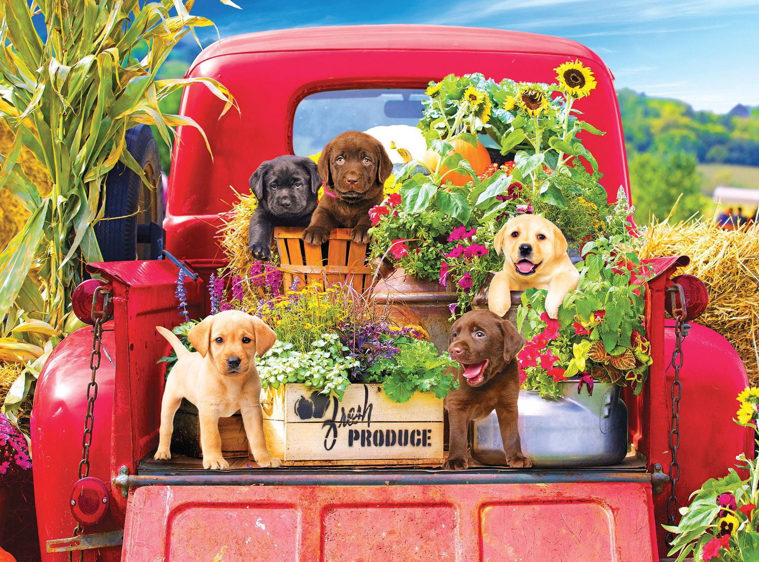Kodak 1000 piece Puzzle Stowaways