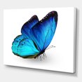 thumbnail image 3 of Designart Vibrant Blue Butterfly Canvas Wall Art, 3 of 4