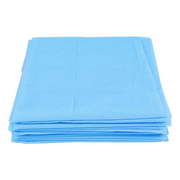 10Pcs Waterproof Bed Sheet Massage Bed Cover, Durable Sheet Protector, Mattress 80cmx215cm