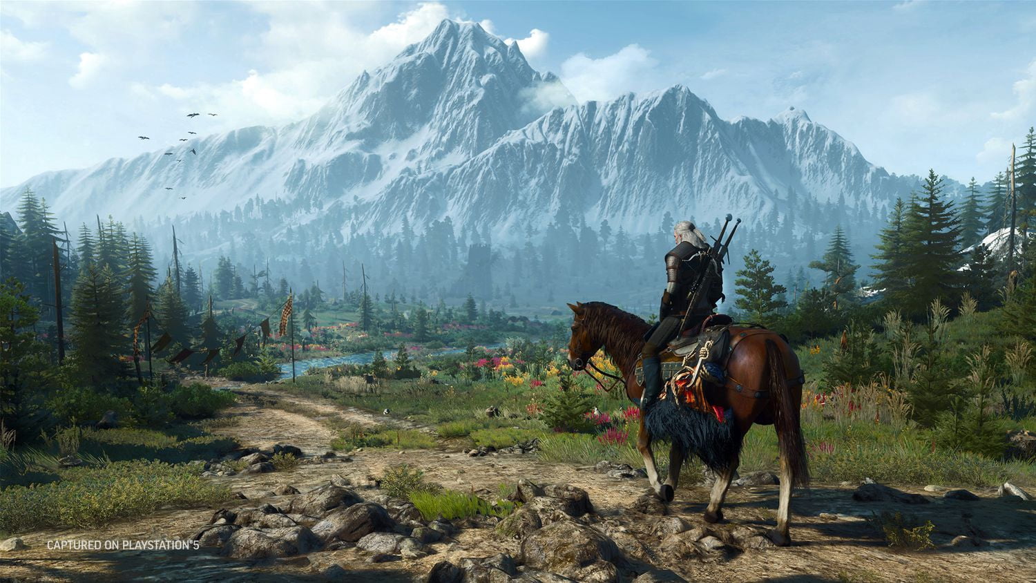 Jeu vidéo Witcher 3: Wild Hunt Complete Edition pour (PS5)