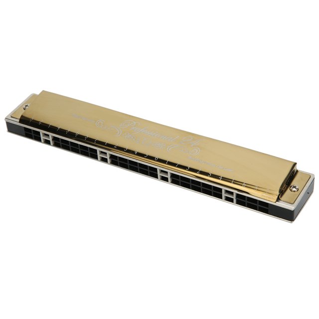 Harmonica, Harmonica Instrument de Musique, Étui pour Harmonica Harmonica pour Enfants Durable pour Adultes Débutant Touche C Dorée