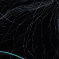thumbnail image 4 of Fish Net, Professional 50m Fishing Net, Fishing Accessories,  For Saltwater Freshwater 3 Finger,4 Finger, 4 of 8