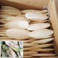 thumbnail image 2 of 10pcs Cuttlebone for Birds | Parrot Chewing Cuttle Bone for Sharp Beaks | Cuttle Bone for Parakeets Budgies Cockatiels Tortoises Turtles Snails Small Animals, 2 of 6