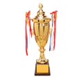thumbnail image 4 of Tasses de Trophées de Récompense, Tasse de Trophées en Métal avec Ruban pour Compétitions Récompenses Scolaires Décoration de Fête, 47 cm, 4 of 8