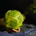 thumbnail image 1 of RKSTN Desk lamp for Office Home DIY Lamp Creative Rose Night Light Gift For Kids,USB Night Light Table lamp, 1 of 2