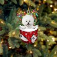 thumbnail image 1 of RKSTN Fall Decorations for Home Funny Christmas Tree Decorations, Suitable For Dogs - Gifts For Dog Lovers - Christmas Decorations - Lovely Stockings Dog Christmas Tree Decorations, 1 of 2
