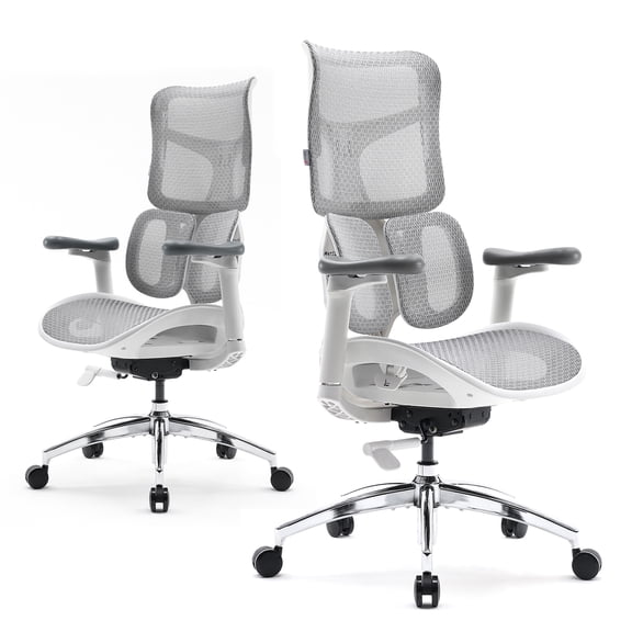 SIHOO S100 Ergonomic Office Wheels Chair - Dual Dynamic Lumbar Support, 4D Coordinated armrests Adjustable Desk Chair for Home Office White