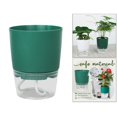 thumbnail image 3 of Pot de Plante Auto-Arrosant Petit Pot de Fleurs Violet Africain, 3 of 9
