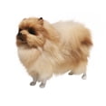 thumbnail image 1 of Yellow Plush Pomeranian Dog Toy Realistic Animal Figure With Soft Fur For Kids Decor Size 87 X 75 X 28 Inches, 1 of 4