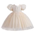 thumbnail image 1 of Cardigans pour Tout-Petits 2t Robes Jeunesse Taille 16 Robe Fille Tout-Petit Enfants Été Manches Courtes Robe Fleurie Robe de Défilé Performance, 1 of 9