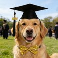 thumbnail image 1 of Pet Graduation Cap and Adjustable Bow Tie Set with Elastic Strap, Black Polyester, Fits Small to Medium Dogs and Cats, Lightweight Photo Prop for School and Graduation, 16x16x9 cm, 1 of 6
