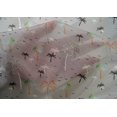 thumbnail image 4 of oneOone Cotton Silk Fabric Bird & Palm Tree Print Sewing Fabric BTY 42 Inch Wide, 4 of 4