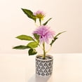 thumbnail image 2 of Two Small Bonsai Living Room Decoration Desk Desk Home Simulation Flower Decoration, 2 of 4