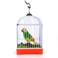 thumbnail image 1 of thinsony Kids Sound Voice Control Activate Chirping Singing Bird Cage for Children Funny Toy Christmas Gift, 1 of 8