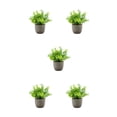 thumbnail image 2 of Redempat Plastic Easy To Clean Artificial Succulent Realistic Appearance Long-lasting Durability Eco-friendly blue babysbreath 5Set, 2 of 6