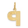 thumbnail image 3 of Diamond2Deal 14K Yellow Gold Satin Letter P Initial Pendant for Women, 3 of 6