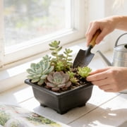 Plastic Flower Pot for Plants - Modern Planter with Drainage, Indoor Outdoor Gardening, Lightweight Succulent Pot, Balcony Home Decor, Brown, JKODE