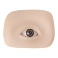 thumbnail image 2 of LEEYNEER Eyebrow Tattoo Fake Skin Realistic 5D Textured Easy to Color Elastic Feel Silicone Artificial Eye Model Stereoscopic Practice Skin Beginner Supply Transparent, 2 of 13