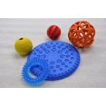 thumbnail image 1 of Cool Runners Dog Non-Toxic Fun Kit, 1 of 1