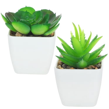 2pcs Artificial Succulent Plants, Fake Succulent Plants with Pots Faux Mini Succulents Plants Indoor for Desk Bedroom Windowsills Office Home Decoration