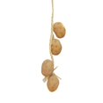 thumbnail image 1 of MesaSe Artificial Fruit Foam Vegetable Corn Pepper Garlic Hanging Photo Prop Home Decor, 1 of 8