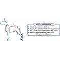 thumbnail image 4 of Red Dingo DH-RB-PK-SM Dog Harness Reflective Pink, Small, 4 of 4