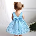 thumbnail image 4 of 2025 Sans Manches Papillon 2T Cardigan Broderie Tulle Nœud Papillon Concours Baseball Robe Smockée Robe de Soirée Robe de Soirée s Robe de Mariage pour Enfants Vêtements Mode, 4 of 6