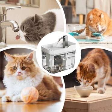 Liquidation! Fontaine d'Eau Intelligente pour Animaux, Fontaine d'Eau pour Chat Fontaine pour Chat pour Boire - Fontaine d'Eau pour Animaux pour Chats à l'Intérieur - Bol Distributeur d'Eau Automatique pour Chat - Fournitures d'Alimentation et d'Arrosage pour Chat