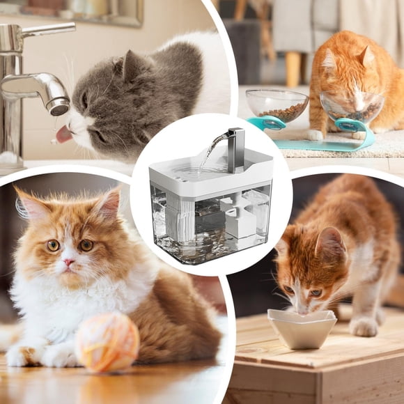 Liquidation! Fontaine d'Eau Intelligente pour Animaux, Fontaine d'Eau pour Chat Fontaine pour Chat pour Boire - Fontaine d'Eau pour Animaux pour Chats à l'Intérieur - Bol Distributeur d'Eau Automatique pour Chat - Fournitures d'Alimentation et d'Arrosage pour Chat
