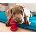 thumbnail image 2 of The Hydrant - USA Made Dog Toy, 2 of 4
