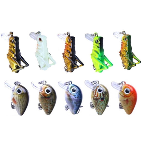 Ensemble de Leurre de Pêche Dure 10Pcs Ensemble de Leurre d'Insectes Assortis Bass Kit de Leurre de Pêche Dur Crankbait pour l'Eau Douce Salée