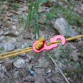 thumbnail image 4 of 10x Aluminum Alloy Camping Tent Guyline Runner Rope Tightener Tensioner--, 4 of 5
