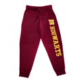 thumbnail image 1 of Harry Potter Men's Hogwarts Joggers, 1 of 2