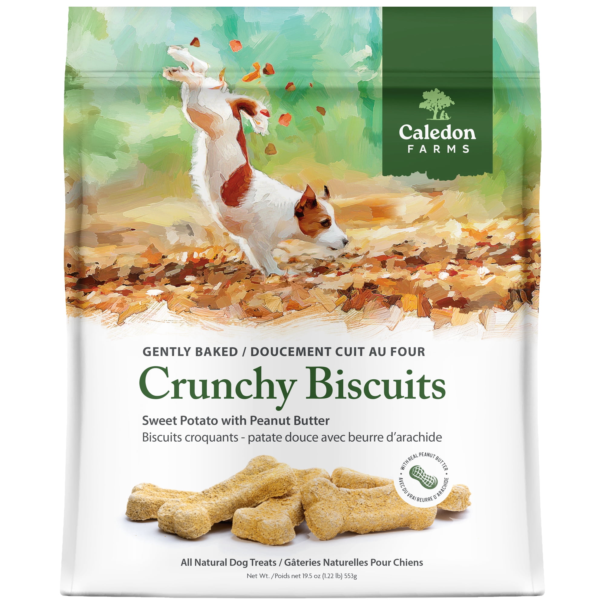 Caledon Farms Crunchy Biscuits Sweet Potato with Peanut Butter Dog Treats 553 Grams