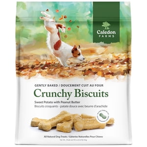 Caledon Farms Crunchy Biscuits Sweet Potato with Peanut Butter Dog Treats 553 Grams