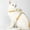 Yellow#2377, variant on Cat Harness and Leash for Walking – Escape Proof I-Type No Pull Harness with Adjustable Chest Strap – Soft Breathable Polyester Pet Harness and Traction Rope for Outdoor Cats