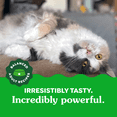 thumbnail image 2 of Feline Greenies Catnip Natural Dental Cat Treats, 2 of 13